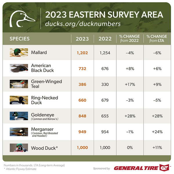 2023 Duck Population Numbers 20232024 Waterfowl Season Ducks